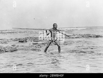 Great Island to be explored . British Pacific Science Expedition Sails for Papua . A Papuan native spearing fish on a coral reef . 14 December 1922 Stock Photo