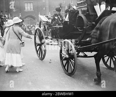 Queen Alexandra Alexandra Day 21 June 1916 Stock Photo