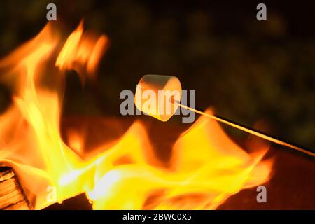 Marshmallows cooking on an open fire Stock Photo