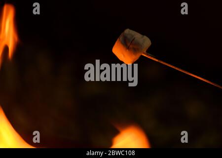 Marshmallows cooking on an open fire Stock Photo