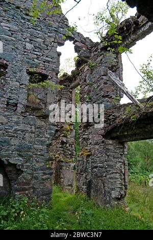 An old and overgrown remains of a castle, Ireland Stock Photo