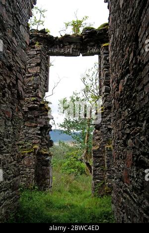 An old and overgrown remains of a castle, Ireland Stock Photo