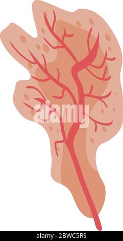 Beauty coral icon, isometric style Stock Vector