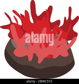 Algae coral icon, isometric style Stock Vector