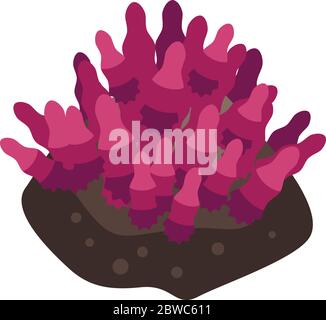 Tropical coral icon, isometric style Stock Vector