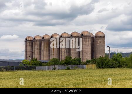 Grain silos in a wheat field. Set of abandoned tanks for cultivation of cultivated plants for cultivation of agricultural crops. Stock Photo