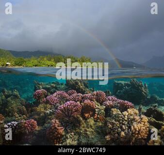 Rainbow in cloudy sky over tropical coast and colorful coral underwater, split view over under water, French Polynesia, Huahine island, Pacific ocean Stock Photo