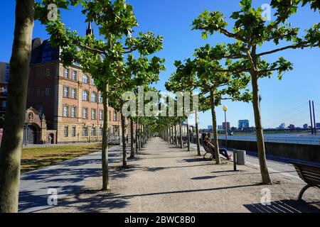 A sunny afternoon at the Rhine river promenade in Düsseldorf with its beautiful old trees. People sitting down on benches and enjoying the sun. Stock Photo