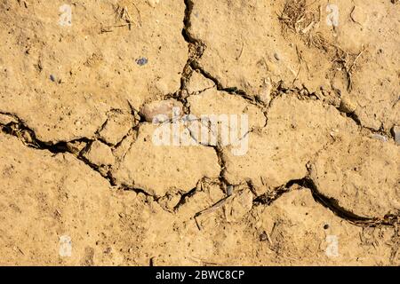 Close up of arid cracked soil on farmland in UK Stock Photo
