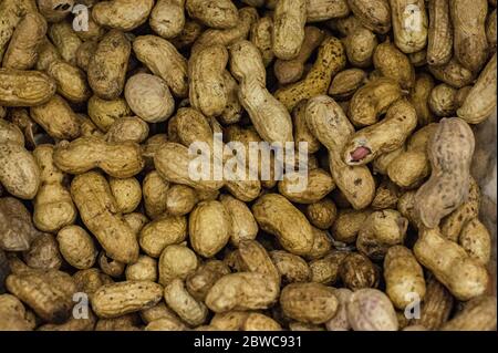 peanuts seeds background image of fresh delicious organically healthy stomach seeds peanuts Stock Photo