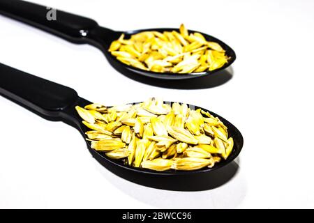 A picture of barley corn Stock Photo