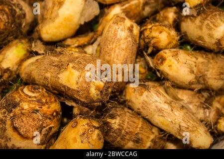 A picture of taro roots Stock Photo