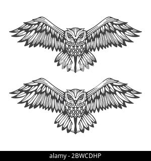 Owl. Flaying owl hand drawn vector illustration. Owl attack sketch ...