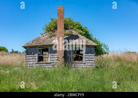 Old small farm house overgrown and falling down in the Hamptons Stock Photo