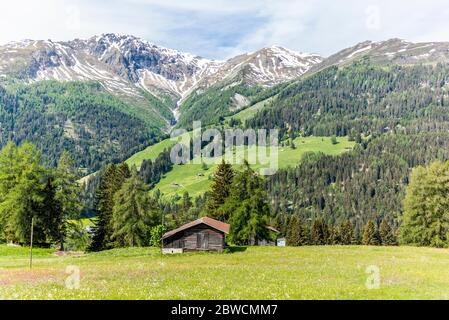 Old log stable on the alpine meadows covered in green grass and colorful flowers in Switzerland during spring Stock Photo