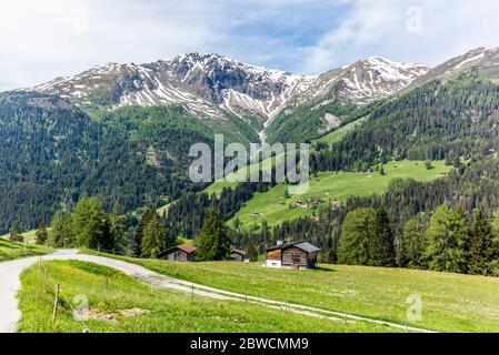 Old traditional wood chalet on the alpine meadows covered in green grass and colorful flowers in Switzerland during spring Stock Photo