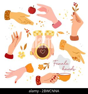Colorful female hands vector collection in EPS10. It can be used as a seamless pattern. Stock Vector