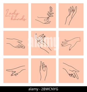 Womens hands with different gestures and in different positions are drawn in a linear style and isolated in the background. Stock Vector