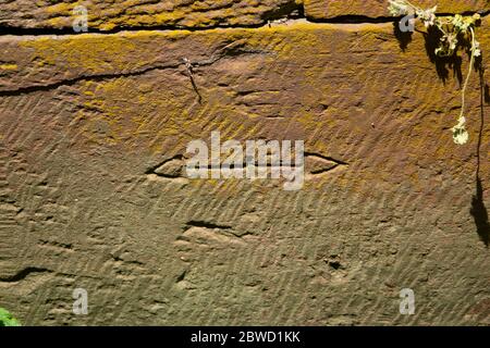 USA Maryland C & O Canal Rileys Lock Masons Mark cut into red sandstone ...