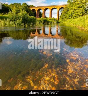 A Victorian viaduct crosses the River Darent near Eynsford in Kent on a sunny spring day Stock Photo