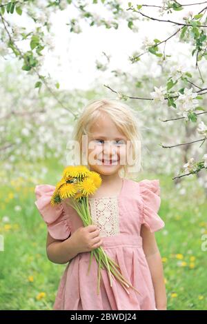 A happy little girl child is smiling as she holds dandelion flowers outside under the apple trees in the orchard on a spring day. Stock Photo