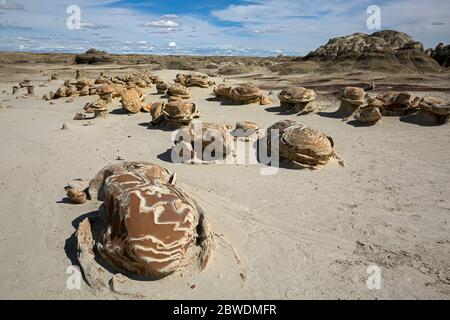 NM00312-00...NEW MEXICO - The amazing Cracked Eggs formation in the Bisti Wilderness. Stock Photo