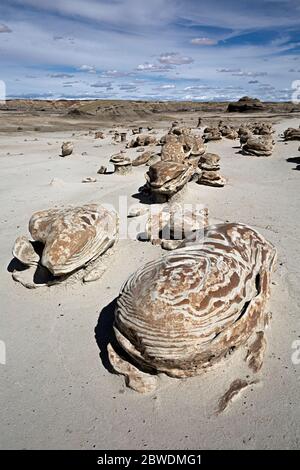 NM00313-00...NEW MEXICO - The amazing Cracked Eggs formation in the Bisti Wilderness. Stock Photo