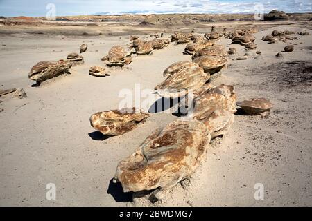 NM00314-00...NEW MEXICO - The amazing Cracked Eggs formation in the Bisti Wilderness. Stock Photo