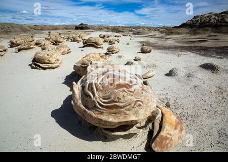 NM00315-00...NEW MEXICO - The amazing Cracked Eggs formation in the Bisti Wilderness. Stock Photo