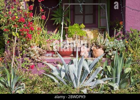 Garden, El Presidio Historic District, Tucson, Arizona, USA Stock Photo