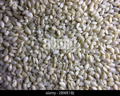 Organic raw white sesame seeds background. Closeup. Macro shot. Stock Photo