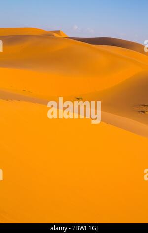 Vertical view of golden light in the desert in Merzouga, Morocco Stock Photo