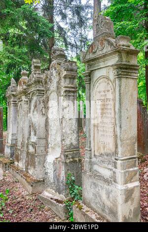 Jewish tombstones on the historic Jewish cemetery in forest in Kobersdorf Stock Photo