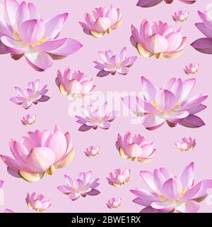 Pink Lotus Flower. Floral Botanical Flower. Seamless Background Pattern. On White Stock Photo
