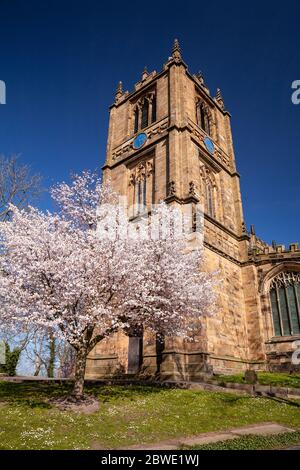 Saint Marys parish church Mold with spring blossom Stock Photo