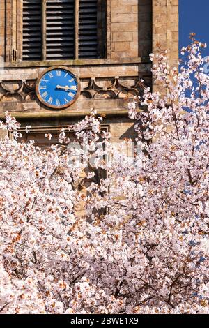 Saint Marys parish church Mold with spring blossom Stock Photo