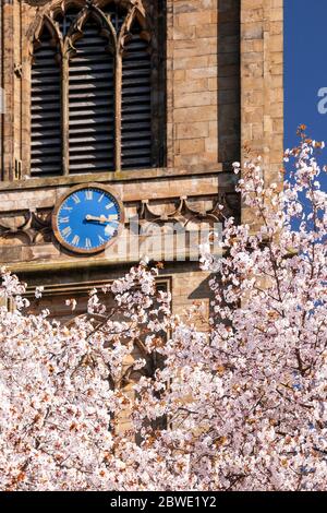 Saint Marys parish church Mold with spring blossom Stock Photo