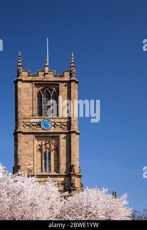 Saint Marys parish church Mold with spring blossom Stock Photo
