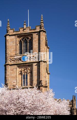 Saint Marys parish church Mold with spring blossom Stock Photo
