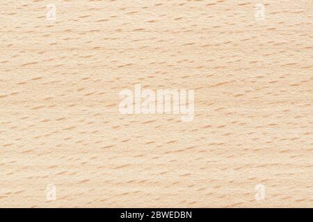 Beech wood texture. Plywood background stripes and dashes. Natural beige color. Stock Photo