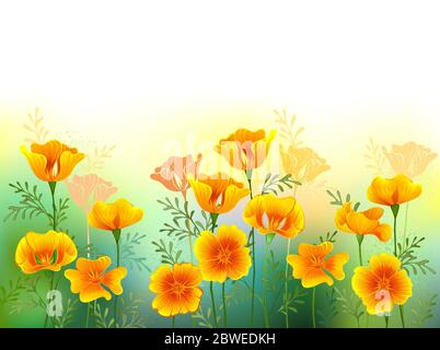 Artistically drawn glade of orange, California poppies on white background. Wildflowers. Stock Vector