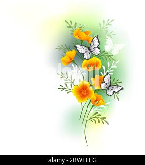 Artistically painted, small bouquet of orange Caliphony poppy flowers with white butterflies sitting on them against white background stained with gre Stock Vector