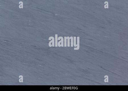Clean natural marble background in dark blue colour. Stock Photo