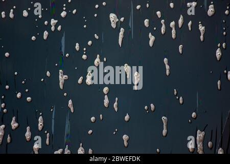 Moving movement of foam soap cleaning car wash on glass of vehicle at outdoor of Thailand Stock Photo
