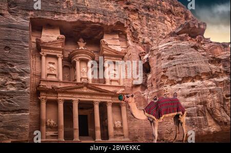 Waiting camel in front of Al Khazneh, the Treasury. Petra, Jordan. Stock Photo