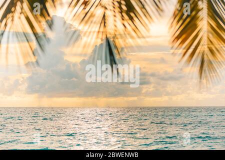 Blur beautiful nature green palm leaf on tropical sunset beach sea with bokeh light wave abstract background. Copy space summer vacation and holiday Stock Photo