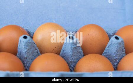 A box of chicken eggs close up Stock Photo