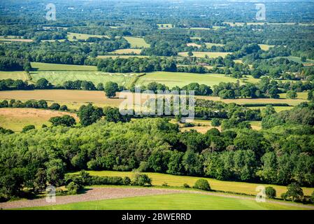 Brighton UK, 31st May 2020: Walking at Chanctonbury Ring in West Sussex during the fabulous May weather. Stock Photo