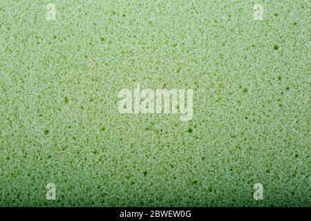 Background and texture green foam with memory effect for mattresses. Stock Photo