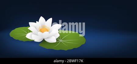 White lotus flower or water lily with leafs on dark blue background and space. Stock Vector